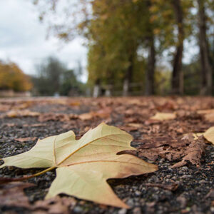 Curso Fotografía En Pontevedra