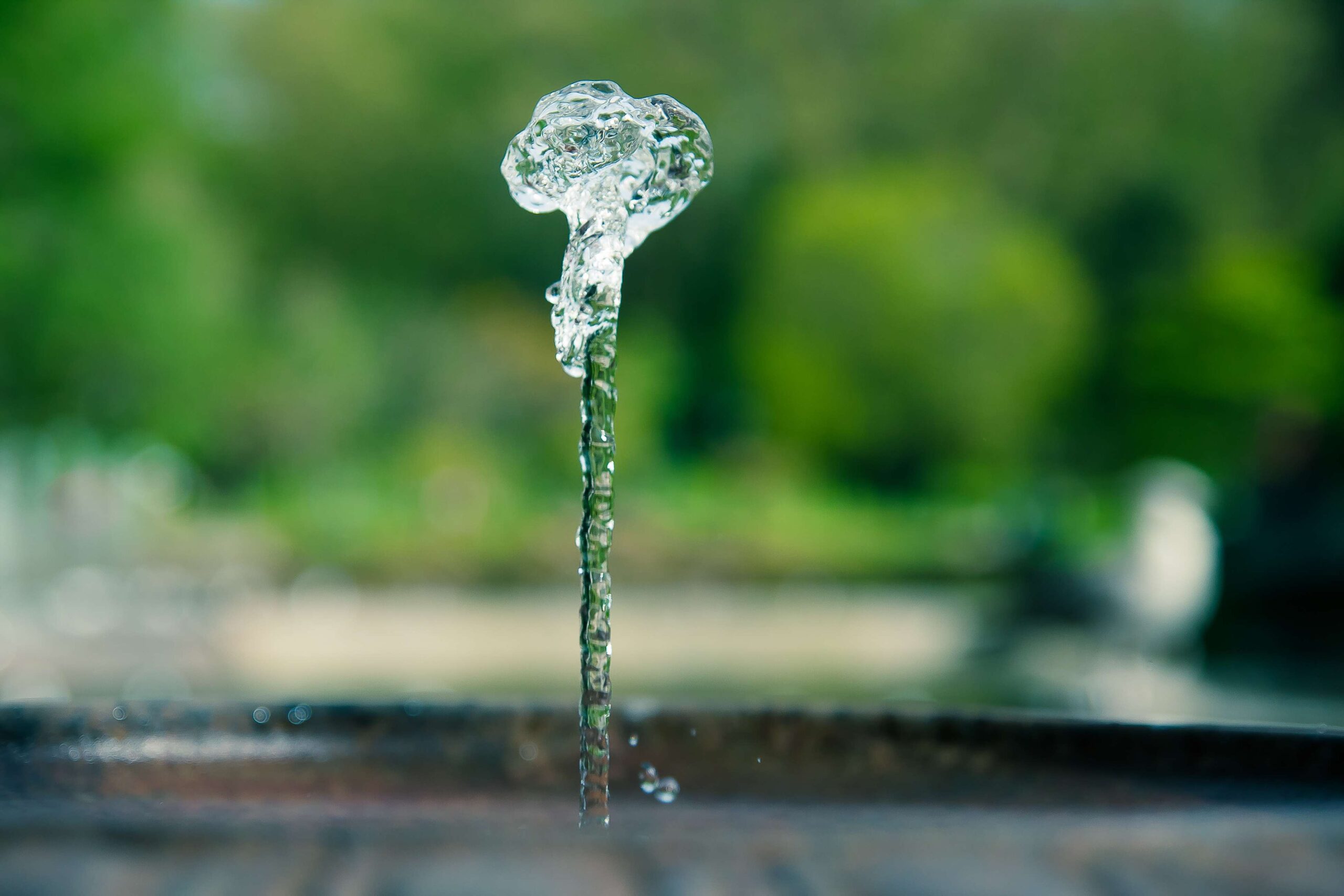  Curso Intensivo de Fotografía