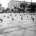 Foto De Calle 10 Foto De Calle 10 - galerías