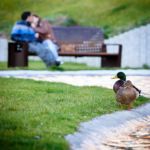 Foto De Calle 2 galerías Foto De Calle 2 - galerías