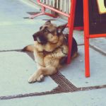 Foto De Calle 26 Foto De Calle 26- galerías