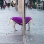 Foto De Calle 3 Foto De Calle 3 - galerías