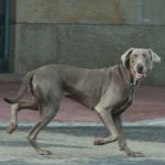 Foto De Calle 32 Foto De Calle 32- galerías