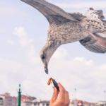 Foto De Calle 35 Foto De Calle 35- galerías