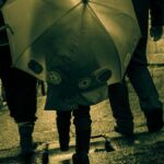 Foto De Calle 36 Foto De Calle 36- galerías