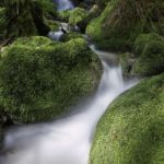 Molinos Rio Tripes Tuy Molinos Rio Tripes Tuy