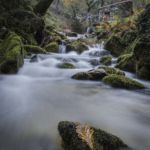 Molinos Rio Tripes Tuy Molinos Rio Tripes Tuy