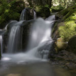 Molinos Rio Tripes Tuy Molinos Rio Tripes Tuy