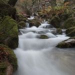 Molinos Rio Tripes Tuy Molinos Rio Tripes Tuy