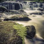 Molinos De Zamanes Molinos De Zamanes