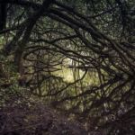 Molinos De Zamans Molinos De Zamans