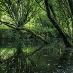 Molinos De Zamans Molinos De Zamans