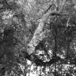 Molinos De Zamans Molinos De Zamans