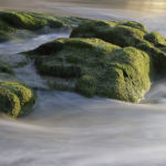 Playa A Calzoa Vigo 4 Playa A Calzoa Vigo 4