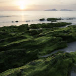 Playa Patos Nigran 1 Playa Patos Nigran 1