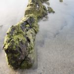 Playa Patos Nigran 10 Playa Patos Nigran 10