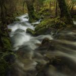 Rio Fraga, Moaña Rio Fraga, Moaña