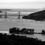 Puente De Rande Puente De Rande